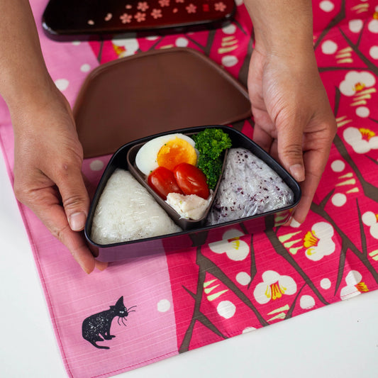 暑い日でも食べやすい、おにぎり弁当アイデア