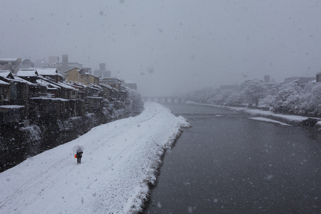 京都に雪が積もりました