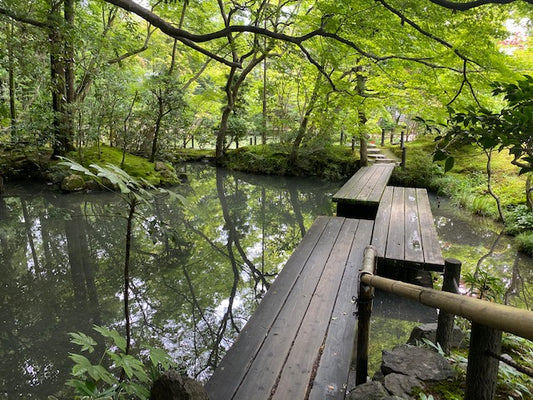 南禅寺の天授庵は蓮が見頃です