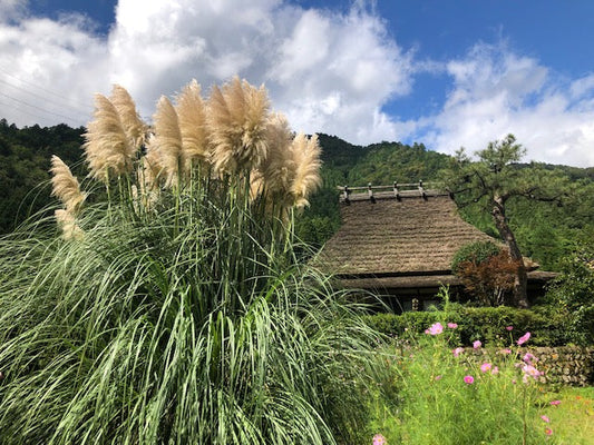 京都・美山かやぶきの里の秋の風景