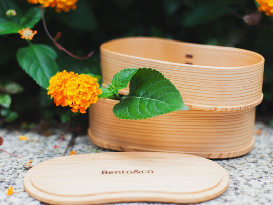 曲げわっぱ　はんごう 二段 大館