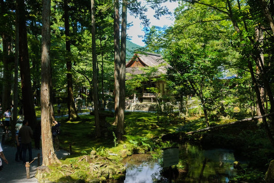 大原でのんびり散歩