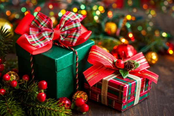 クリスマスプレゼントのおすすめ（ビッグ編）