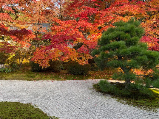 南禅寺・天授庵の紅葉