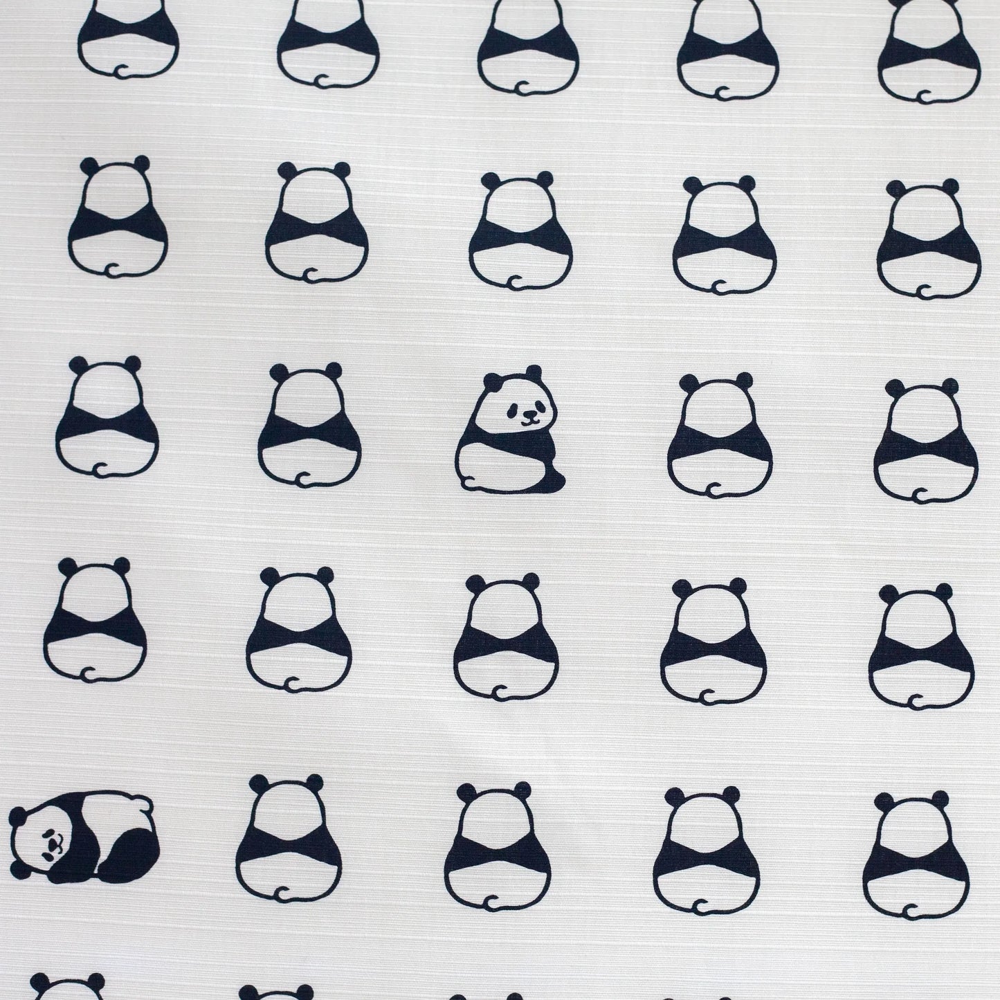 風呂敷 パンダ 50cm
