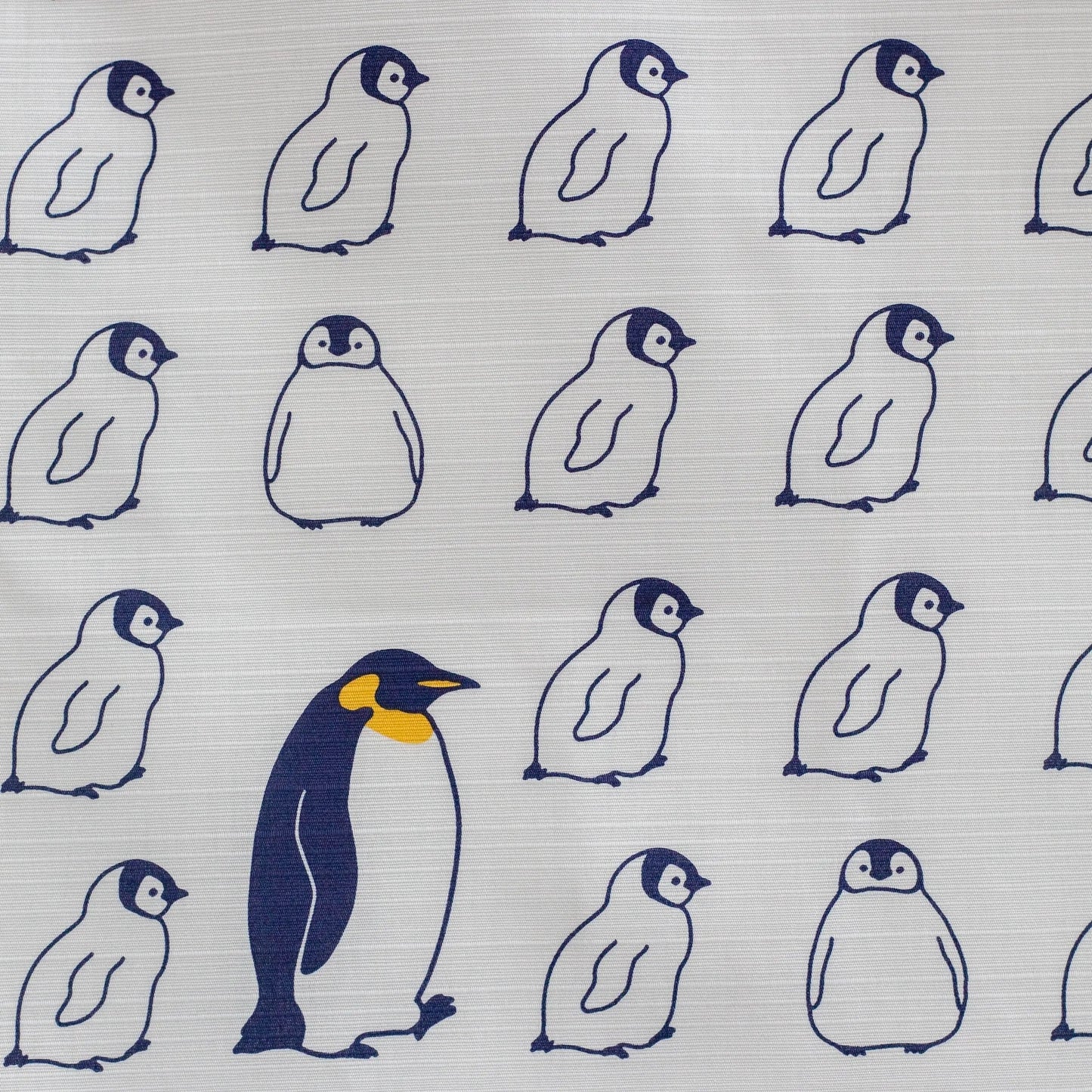 風呂敷 ペンギン 50cm