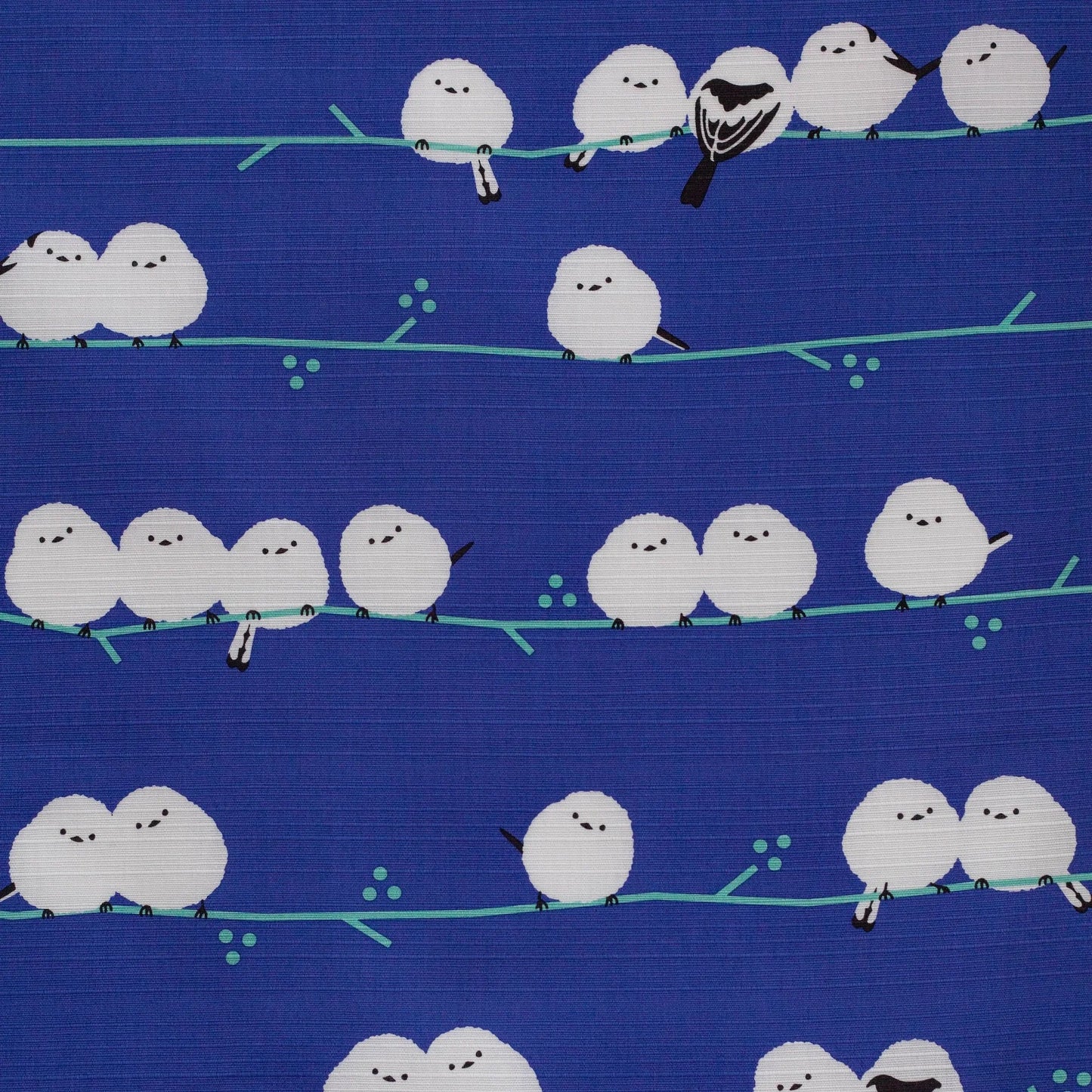 風呂敷 シマエナガ 50cm