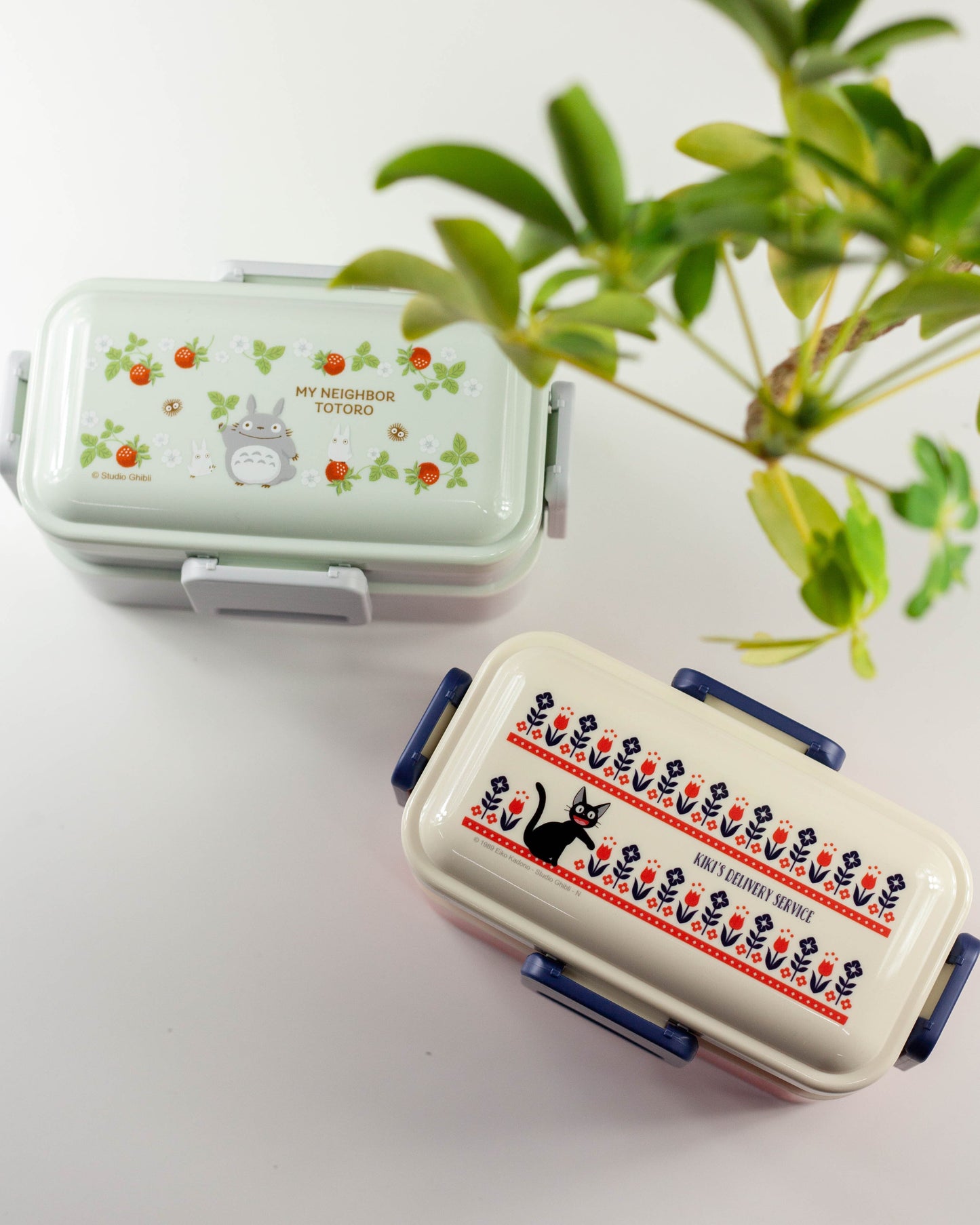 となりのトトロ 木苺 ふわっとランチ二段 | 600mL