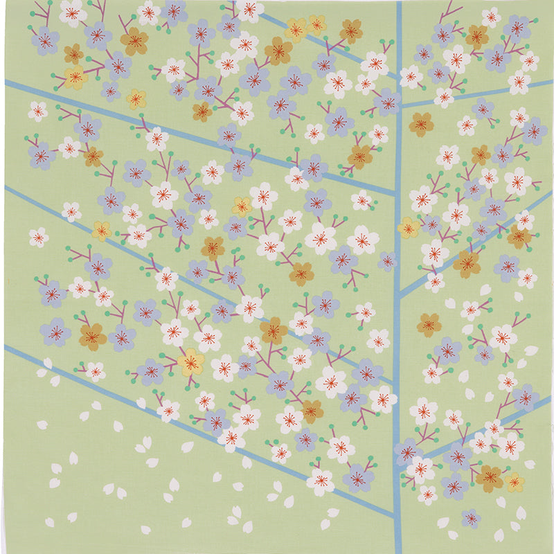50 風呂敷 ひめむすび | 桜 グリーン